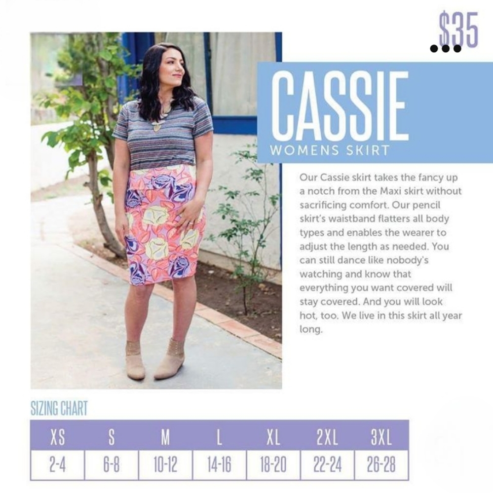 Lularoe Cassie Skirt Size XL - Picture 5 of 5